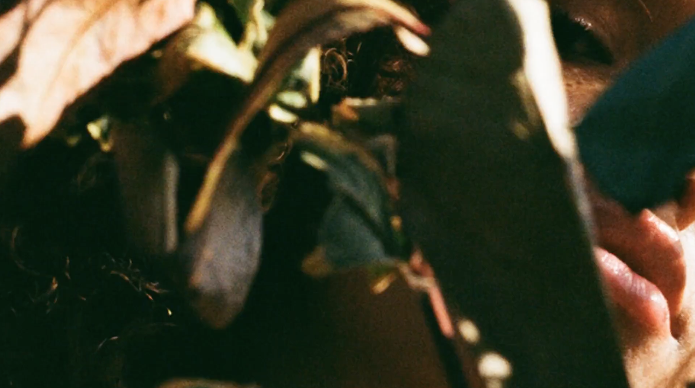 Screen Shot 2019-03-01 at 17.31.50.png
