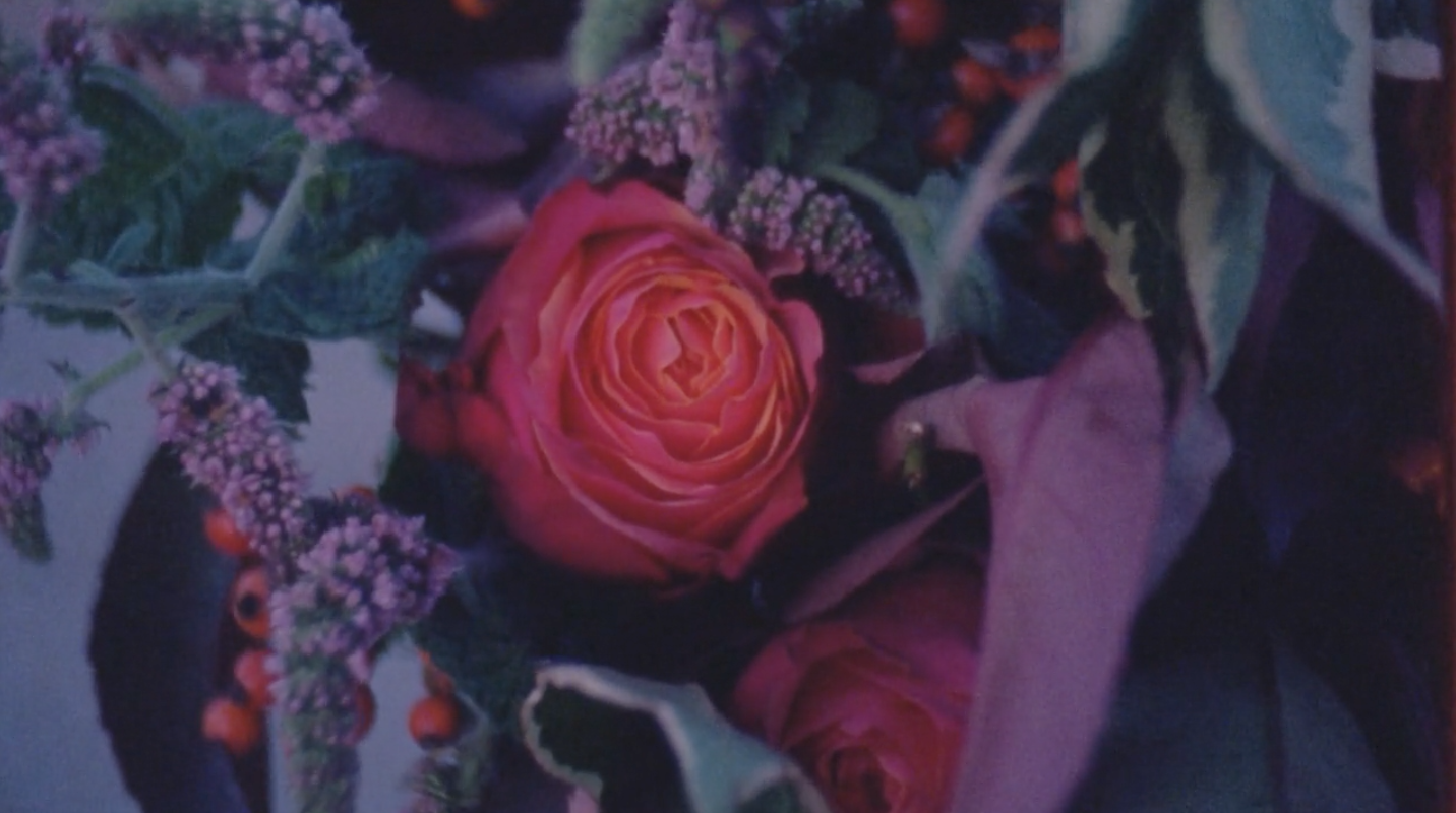 Screen Shot 2019-03-01 at 17.37.29.png