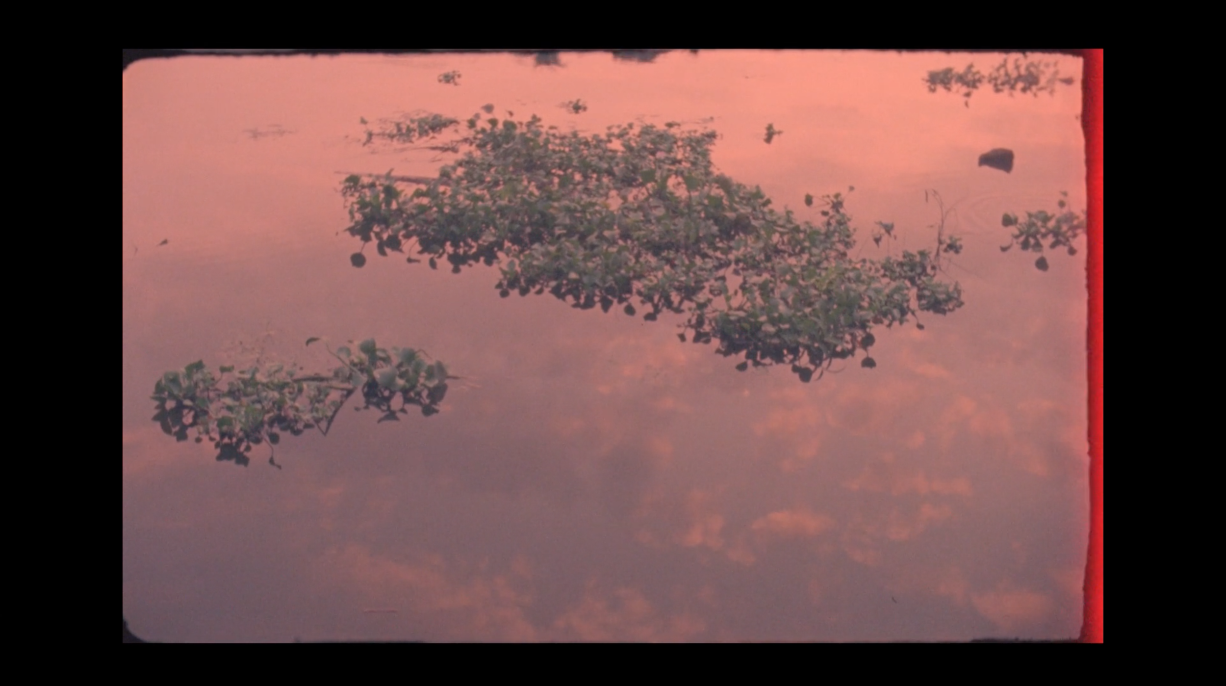 Screen Shot 2019-03-19 at 12.37.25.png
