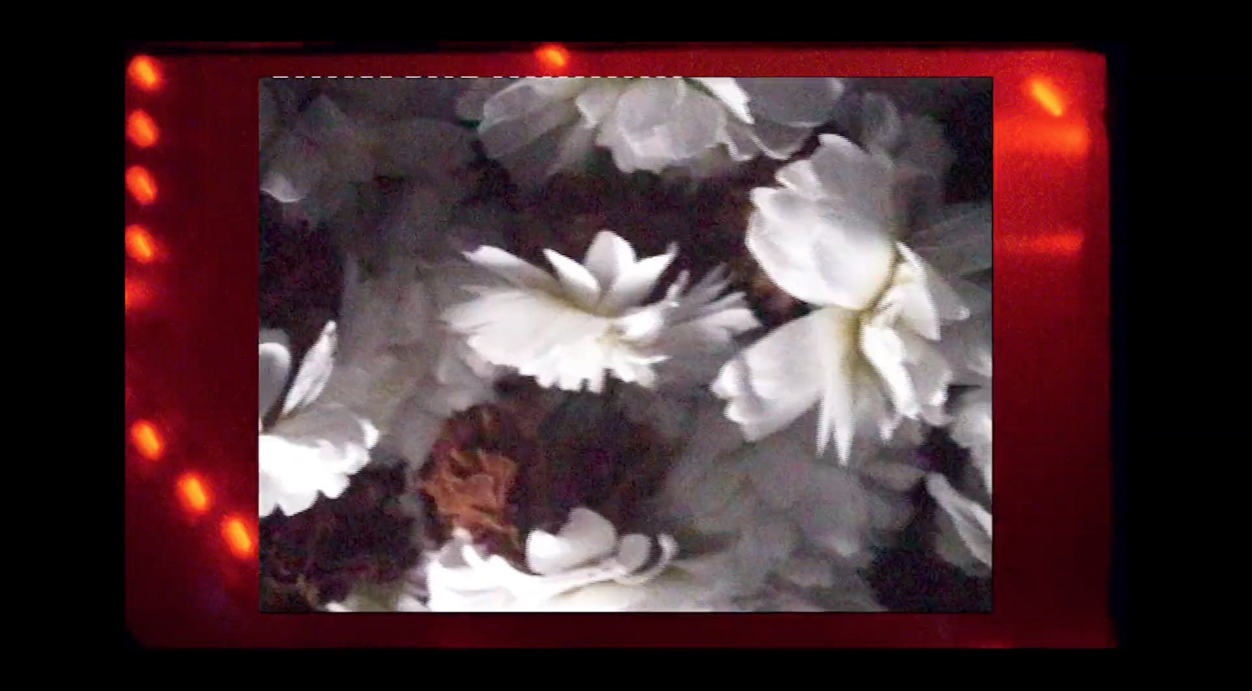 Screen Shot 2019-03-19 at 12.36.07.png