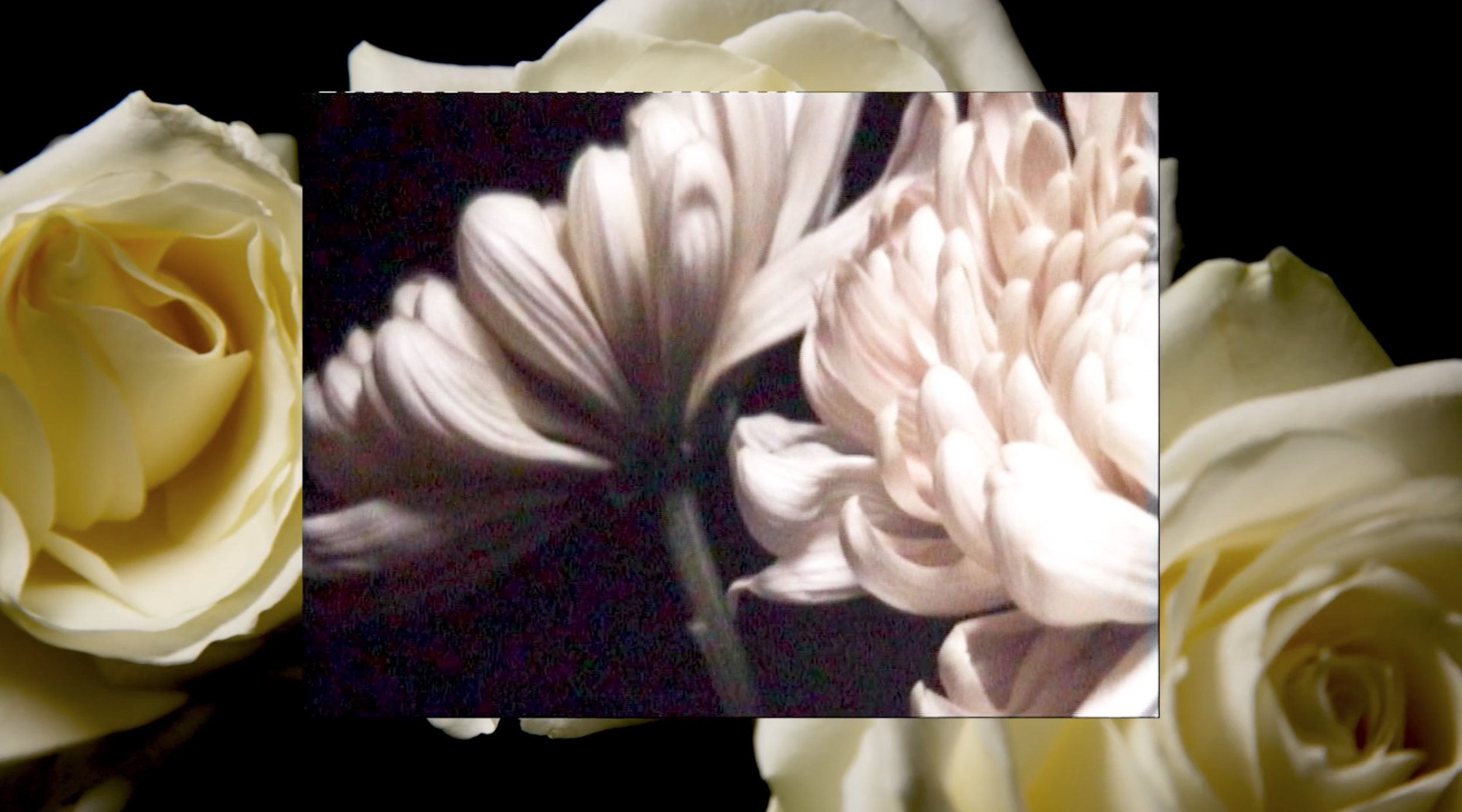 Screen Shot 2019-03-19 at 12.34.59.png