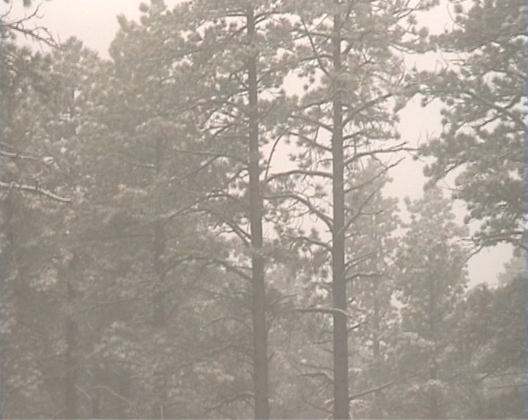 Screen Shot 2019-04-23 at 19.51.28.png