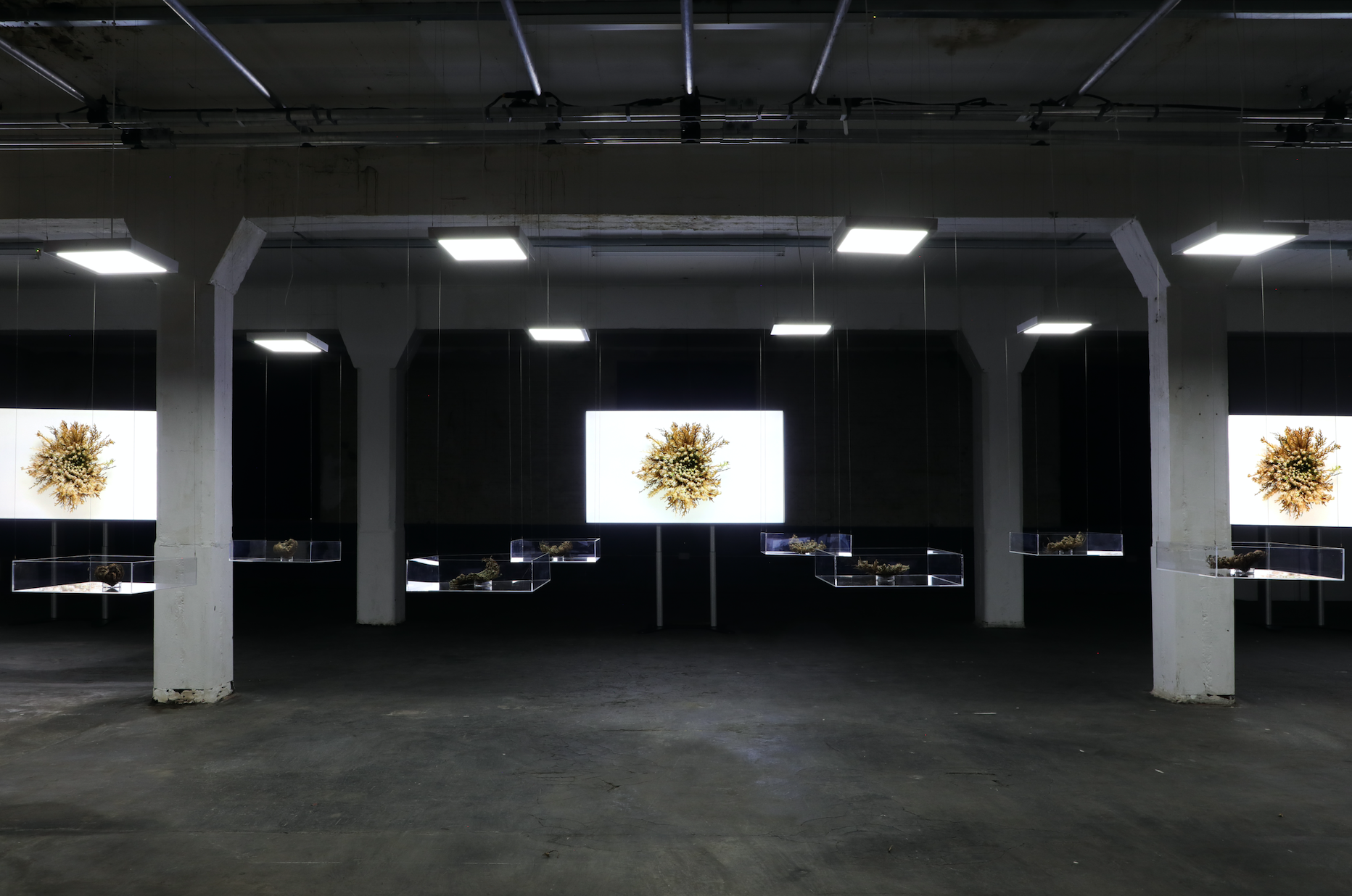 Screenshot 2021-10-04 at 10.29.24.png