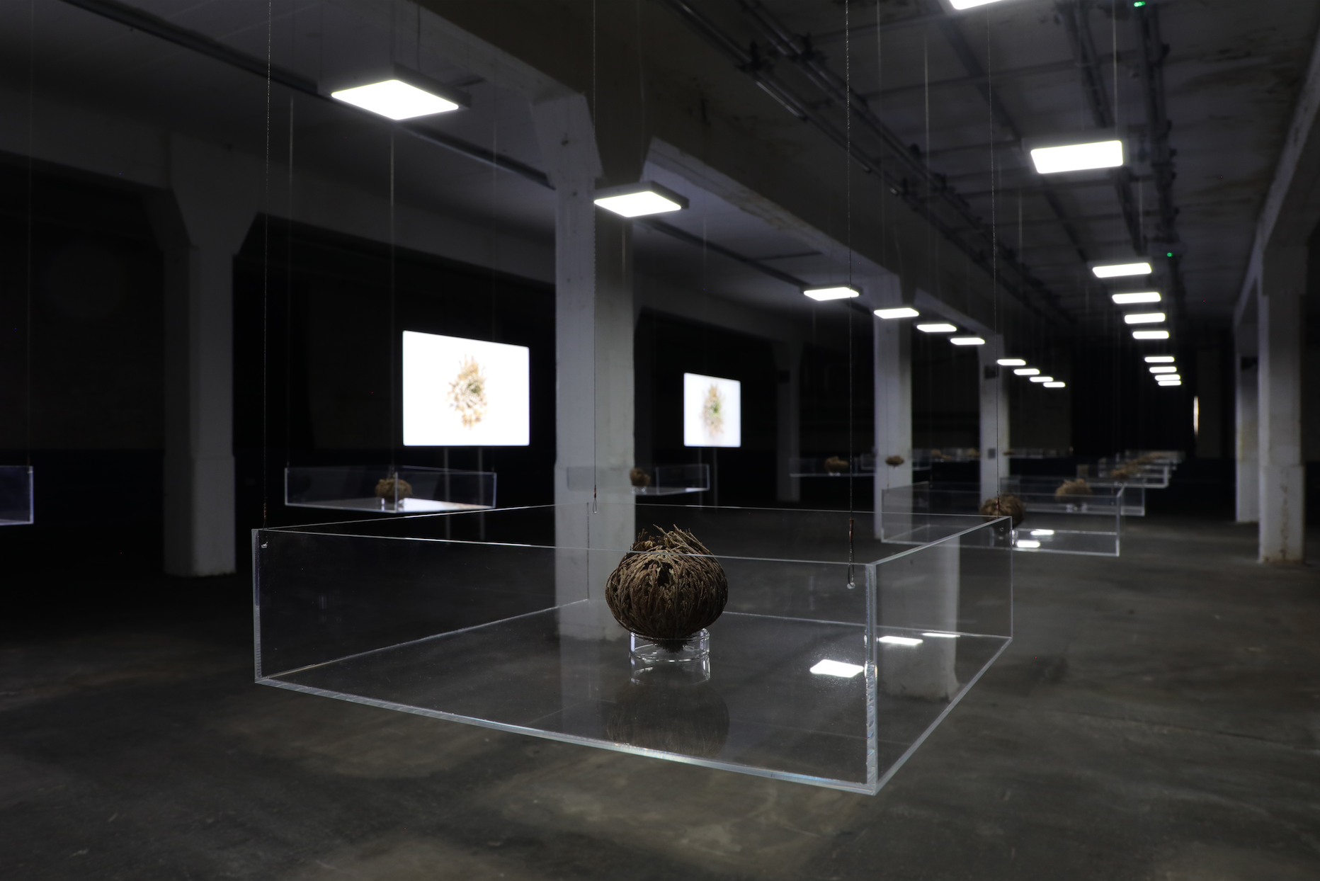 Screenshot 2021-10-04 at 10.29.17.png