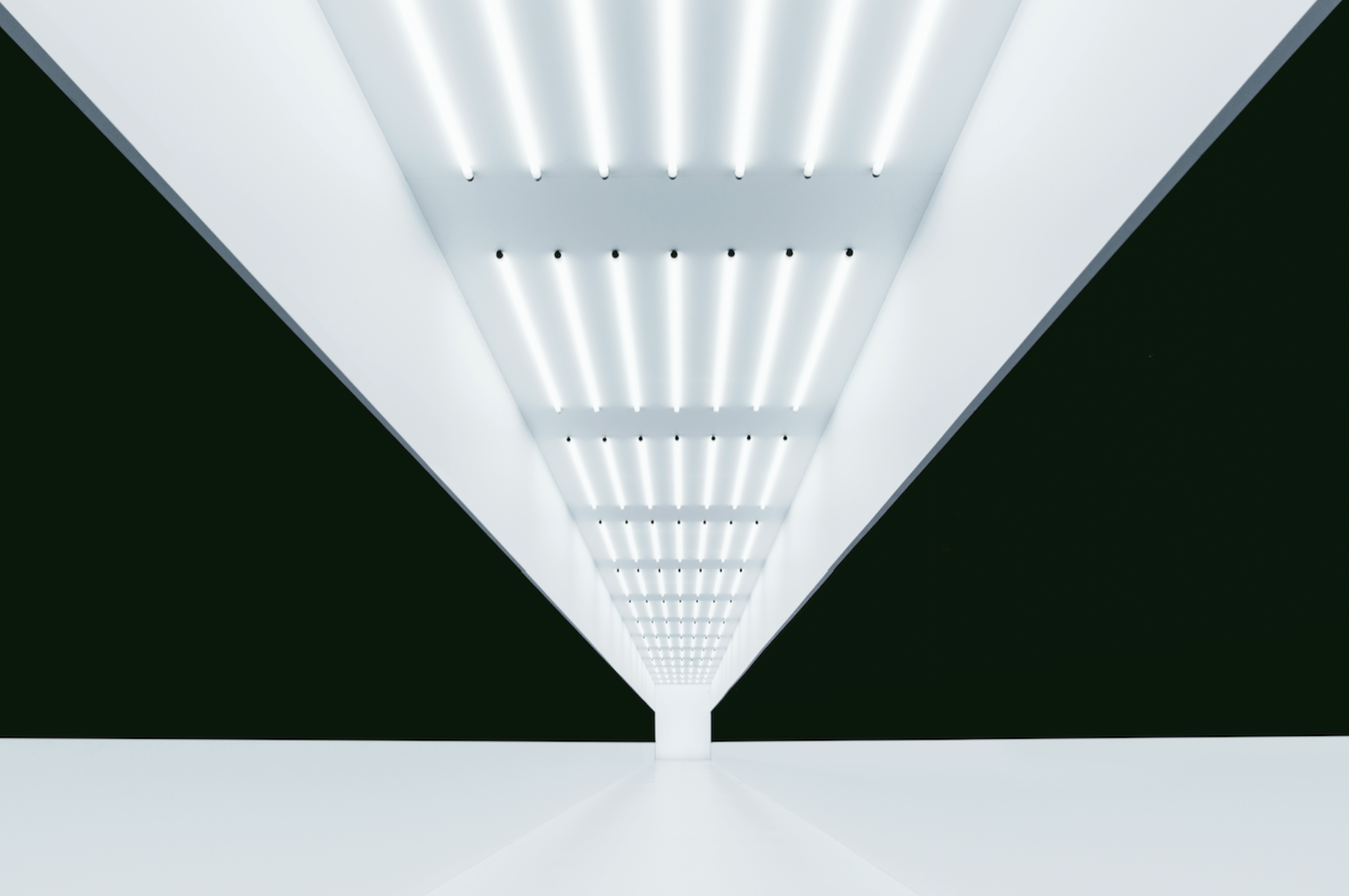 Screenshot 2026-09-24 at 10.11.55.png