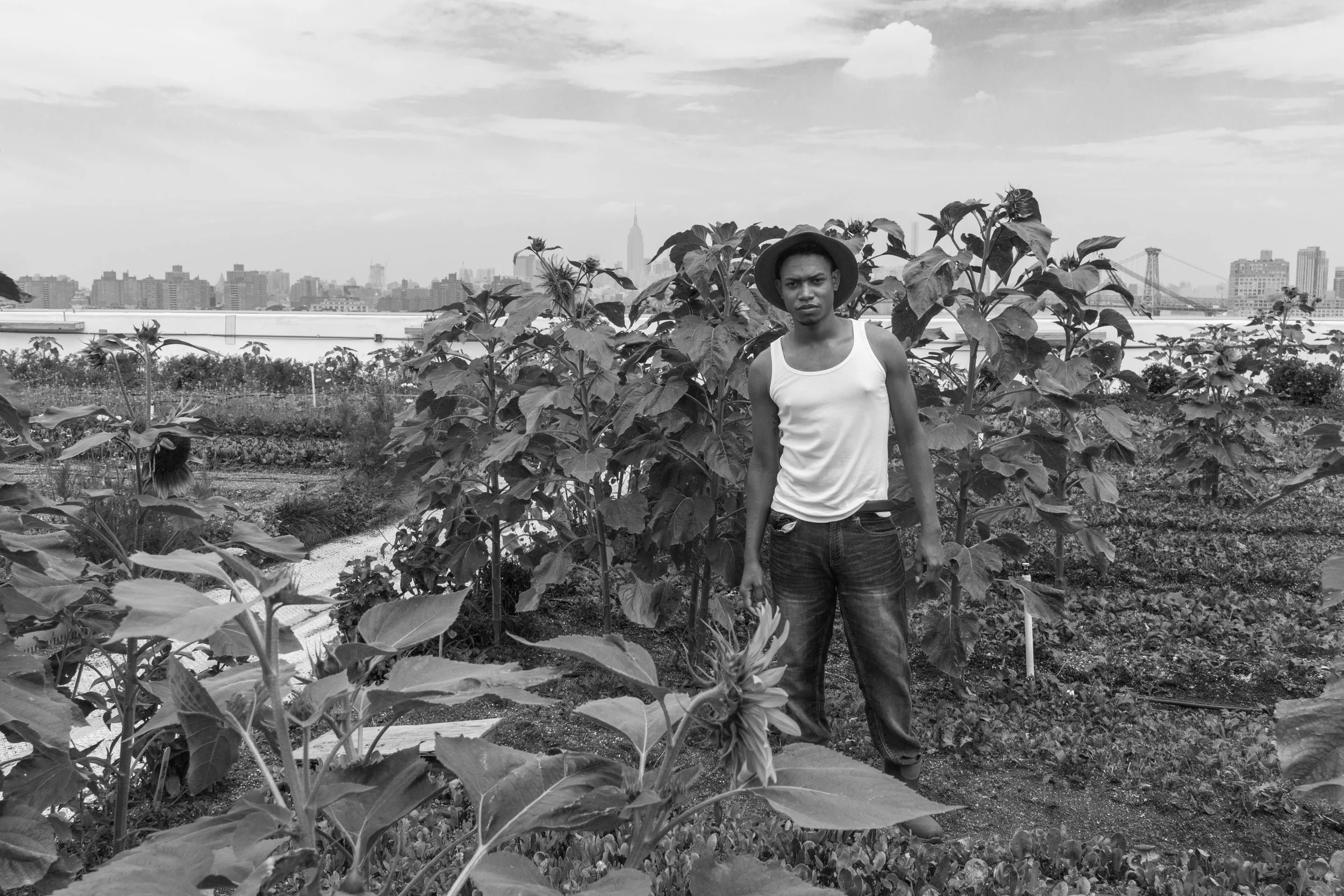 Urban Farmer: Brooklyn, 36”x48”, Silver Gelatin Print, 2015