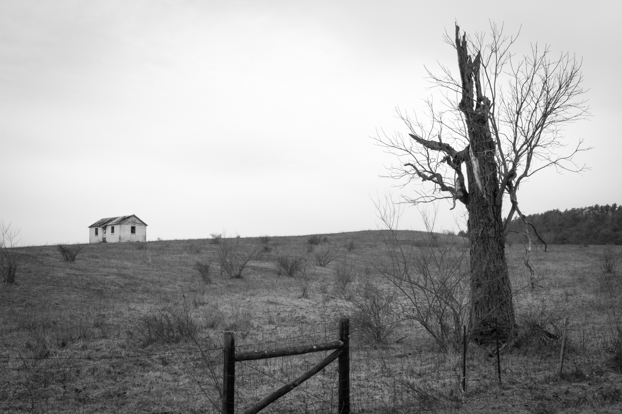  Home #2, 16”x21”, Gelatin Silver Print, 2015 