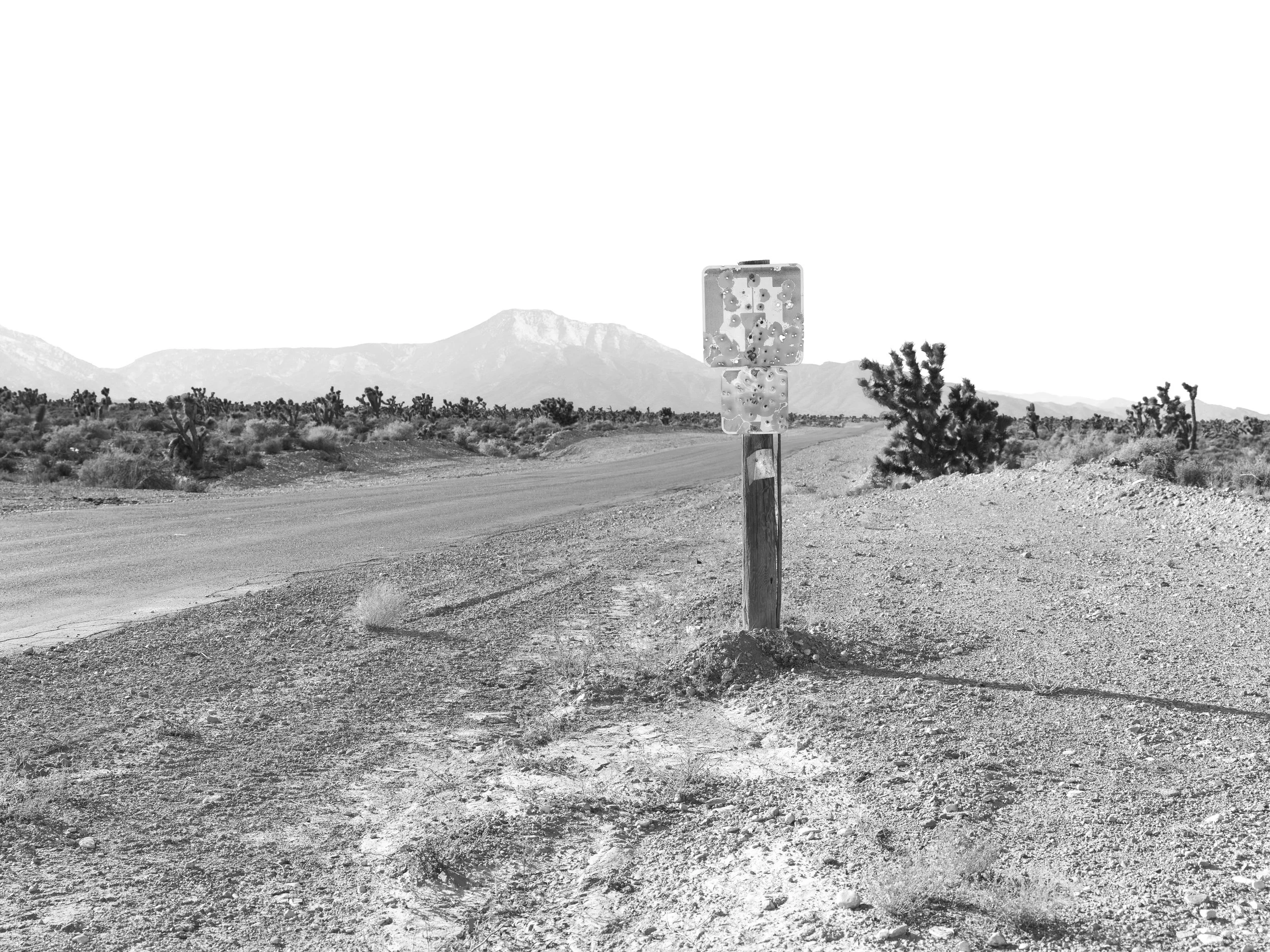 Target #1, 11”x14”, Gelatin Silver Print, 2019