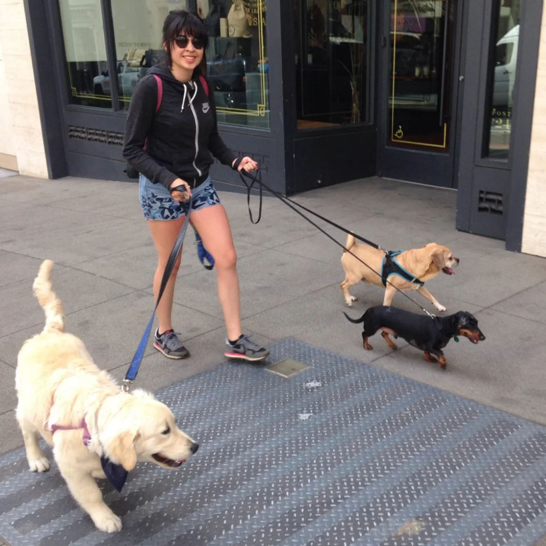 Claudia, Territory Manager I've always had an unconditional love for all animals and especially dogs. I grew up in a household of two to three dogs at a time and since moving to San Francisco for school I haven't been able to get a dog of my own since I'm always on the go. Being able to combine work, my passion for dogs and love for the outdoors there was no way I could say no. Working with Blue Dog I not only find I have something to give to each dog but I also get something as well- pure happiness. I have a happy heart and a happy soul when I'm around my pups!