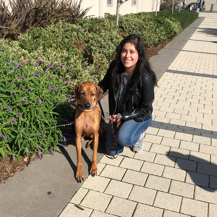 Dianna I'm an Oakland native who has grown up with dogs my entire life. I currently own two Chihuahuas that I adore. I chose Blue Dog because meeting any type of dog excites me. I'm always eager to walk my dogs or any new dog and explore San Francisco with them.