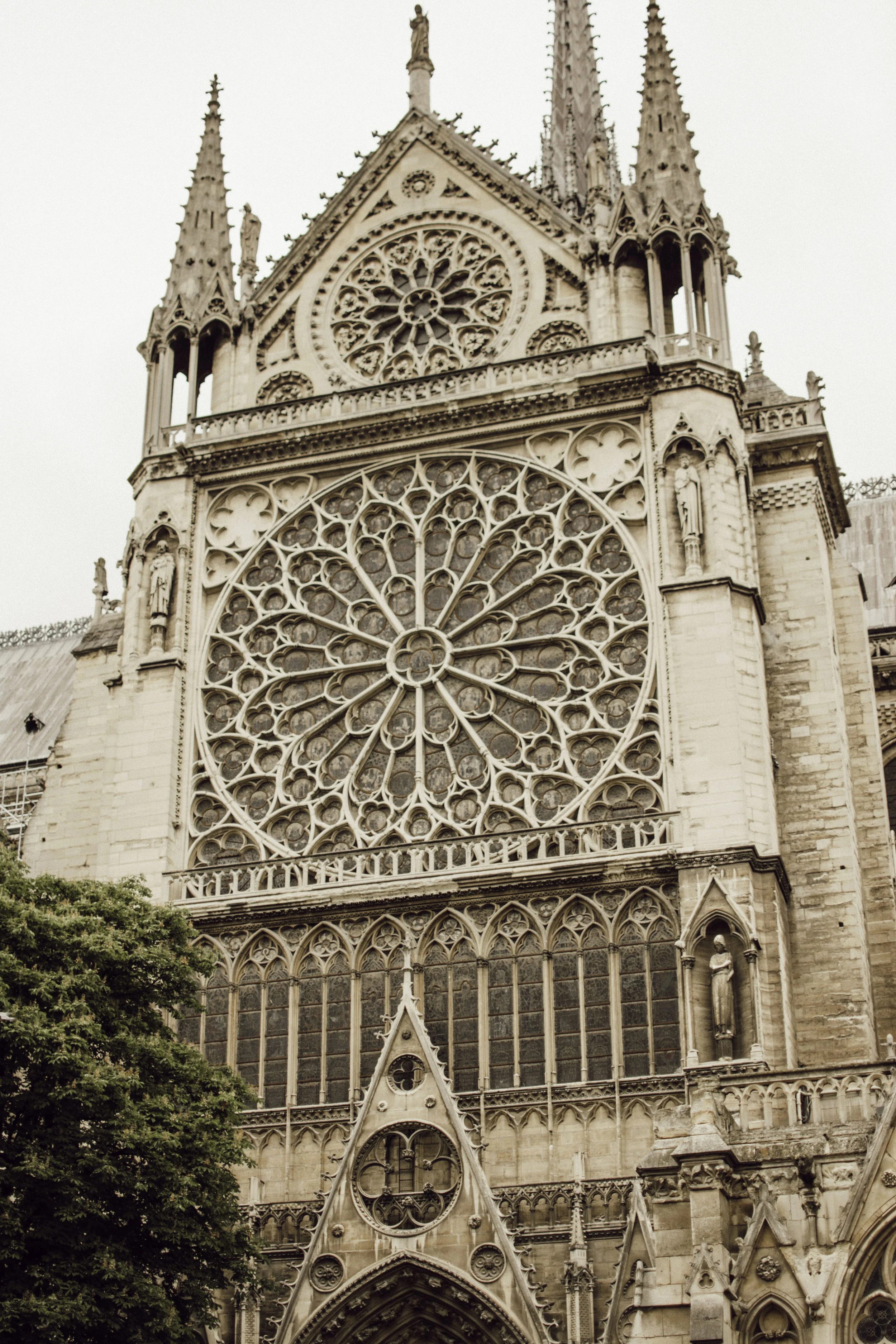 DSC_9290.jpg