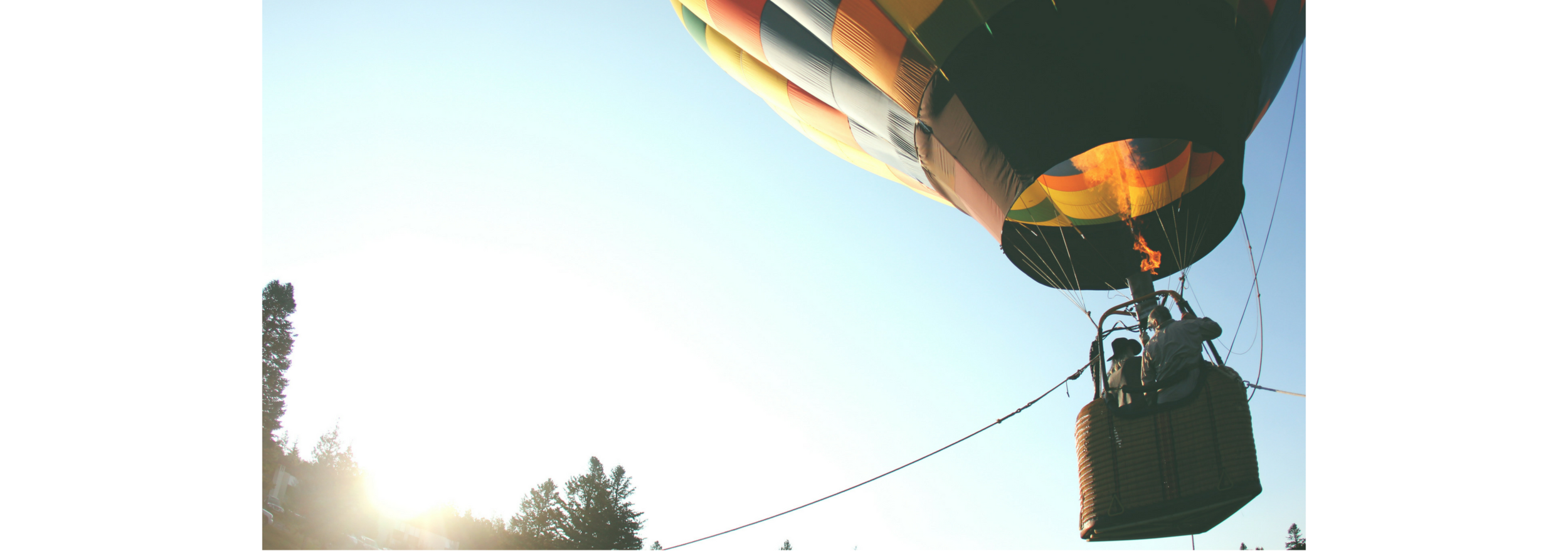 Alumni Page Banner.png