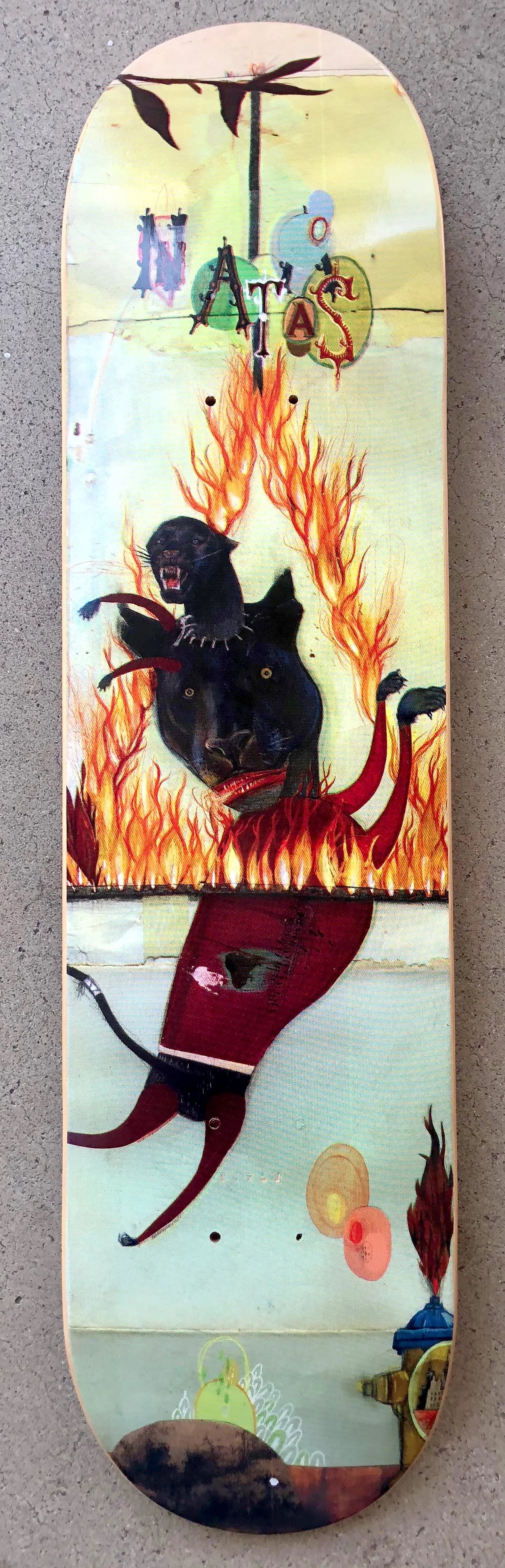 Designarium skateboard deck