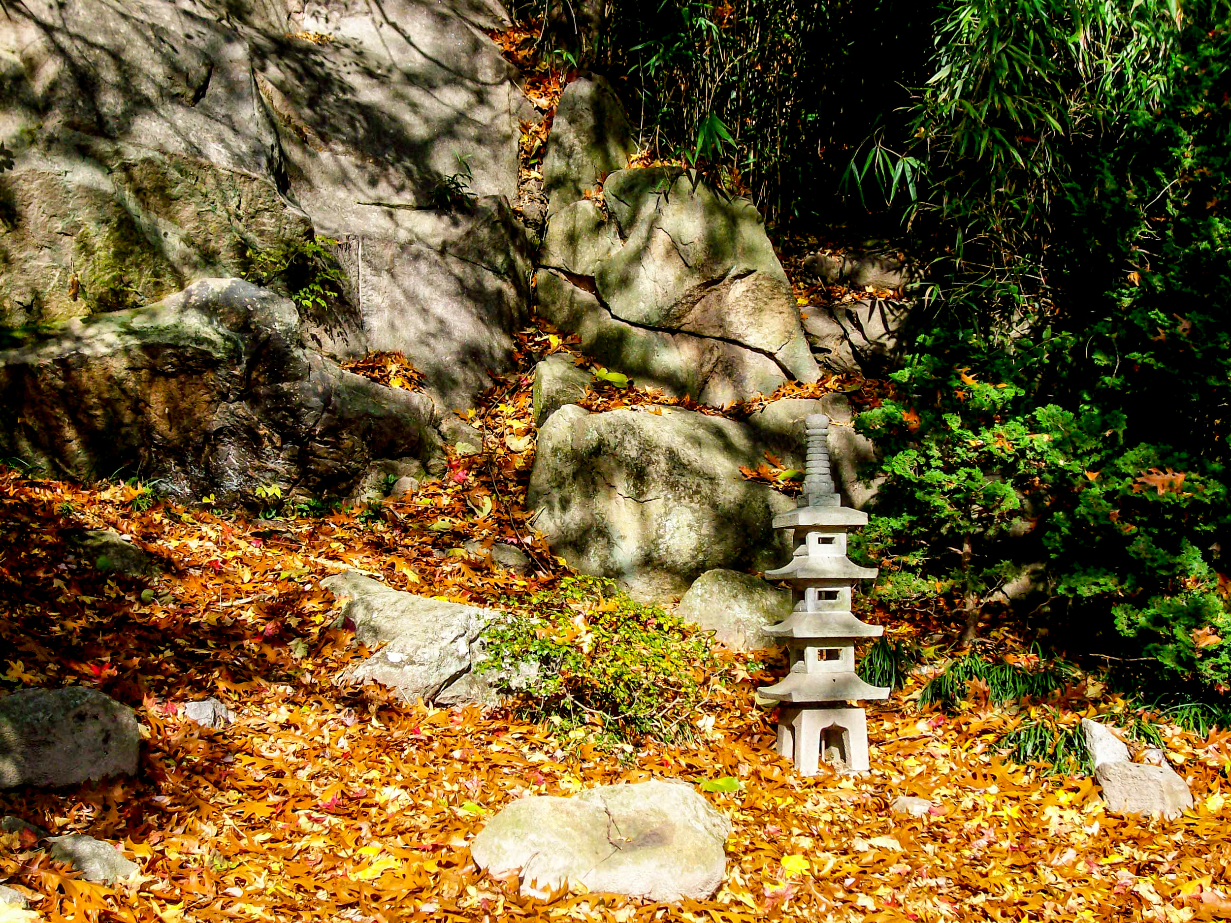 Serenity Garden