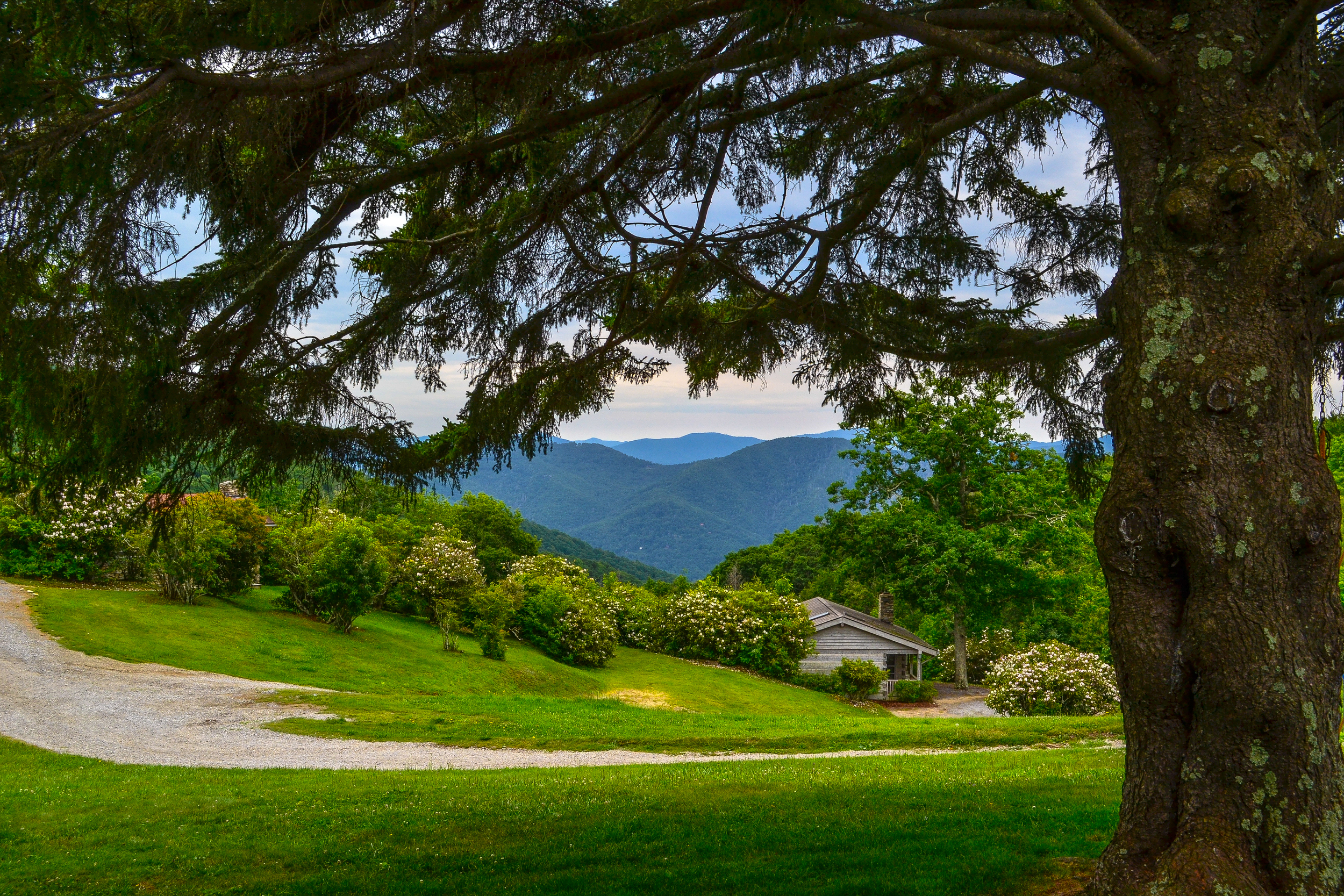 Cataloochee Ranch, NC