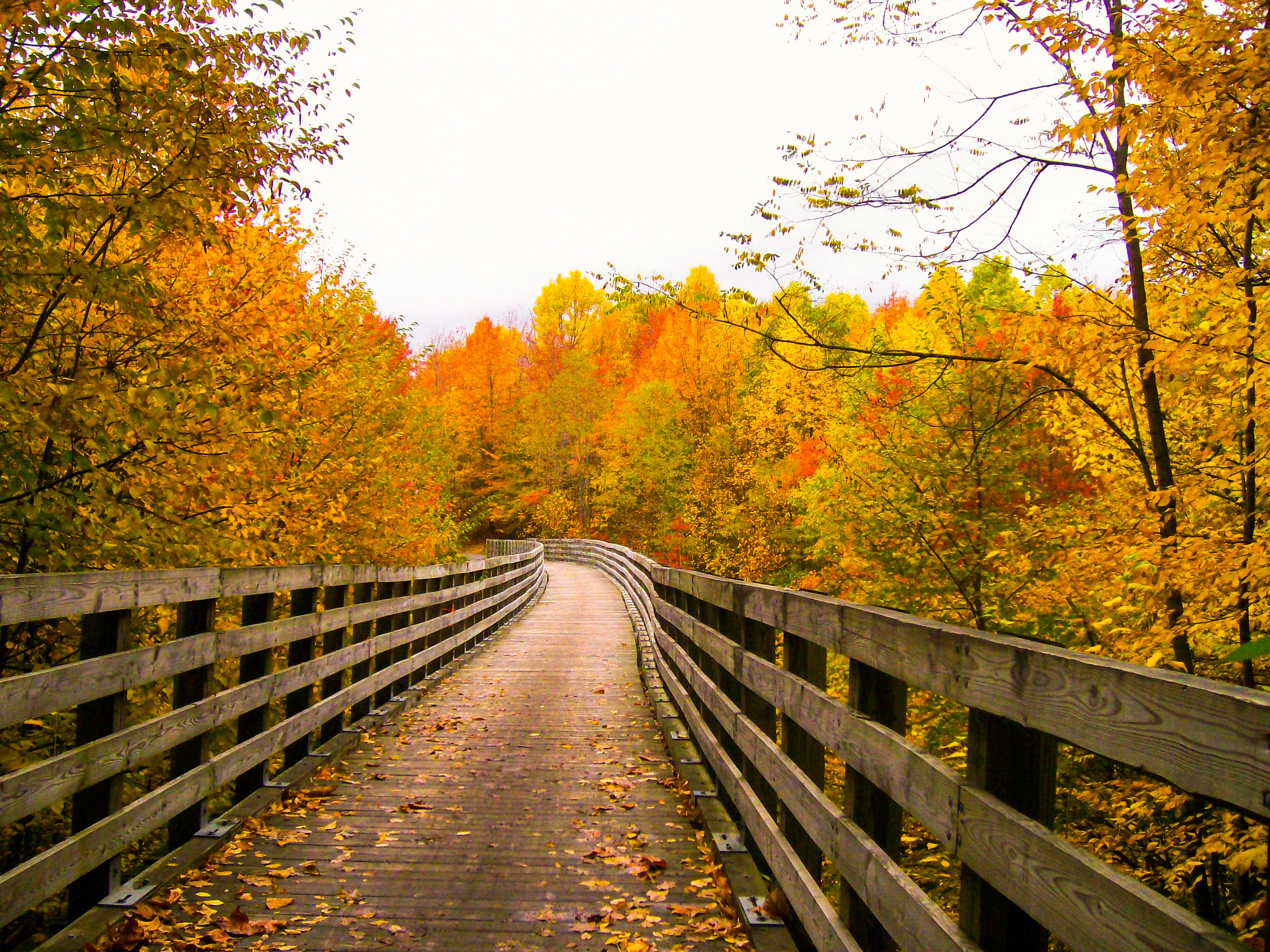 Railroad Trestle 