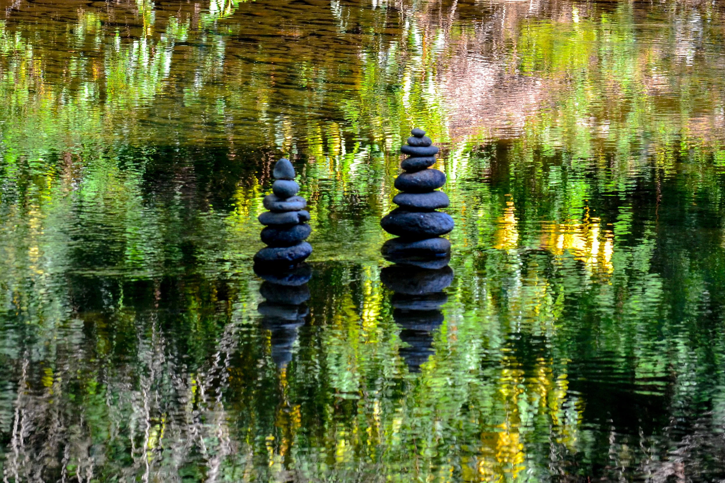 Serene Reflections