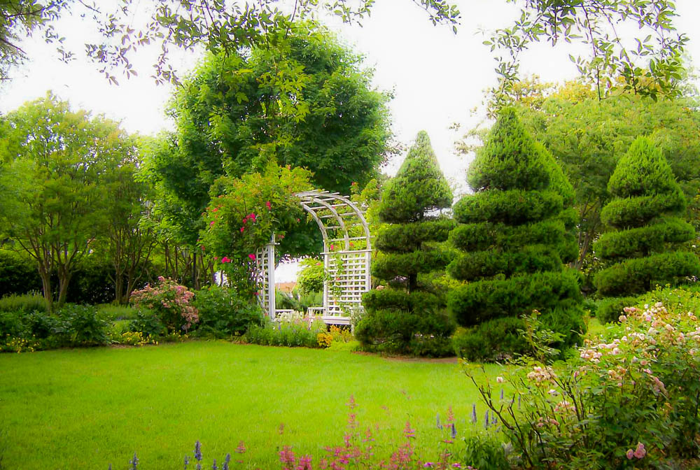 Enchanted Garden