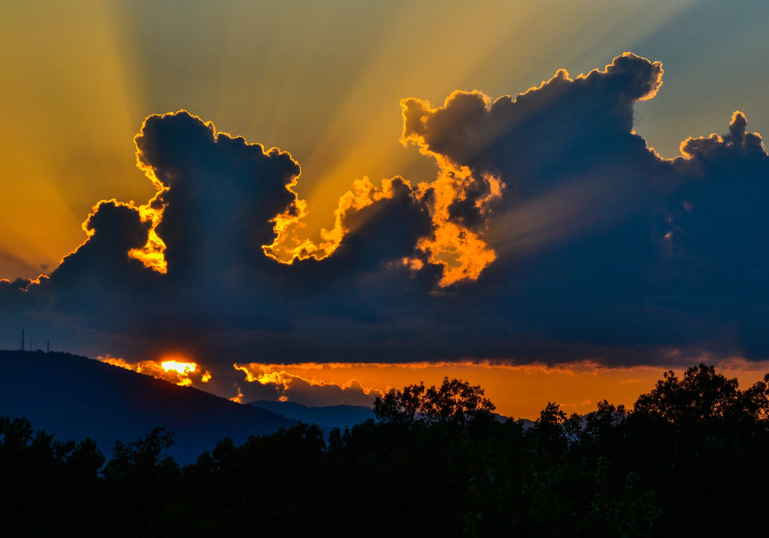 Silhouette Sunset