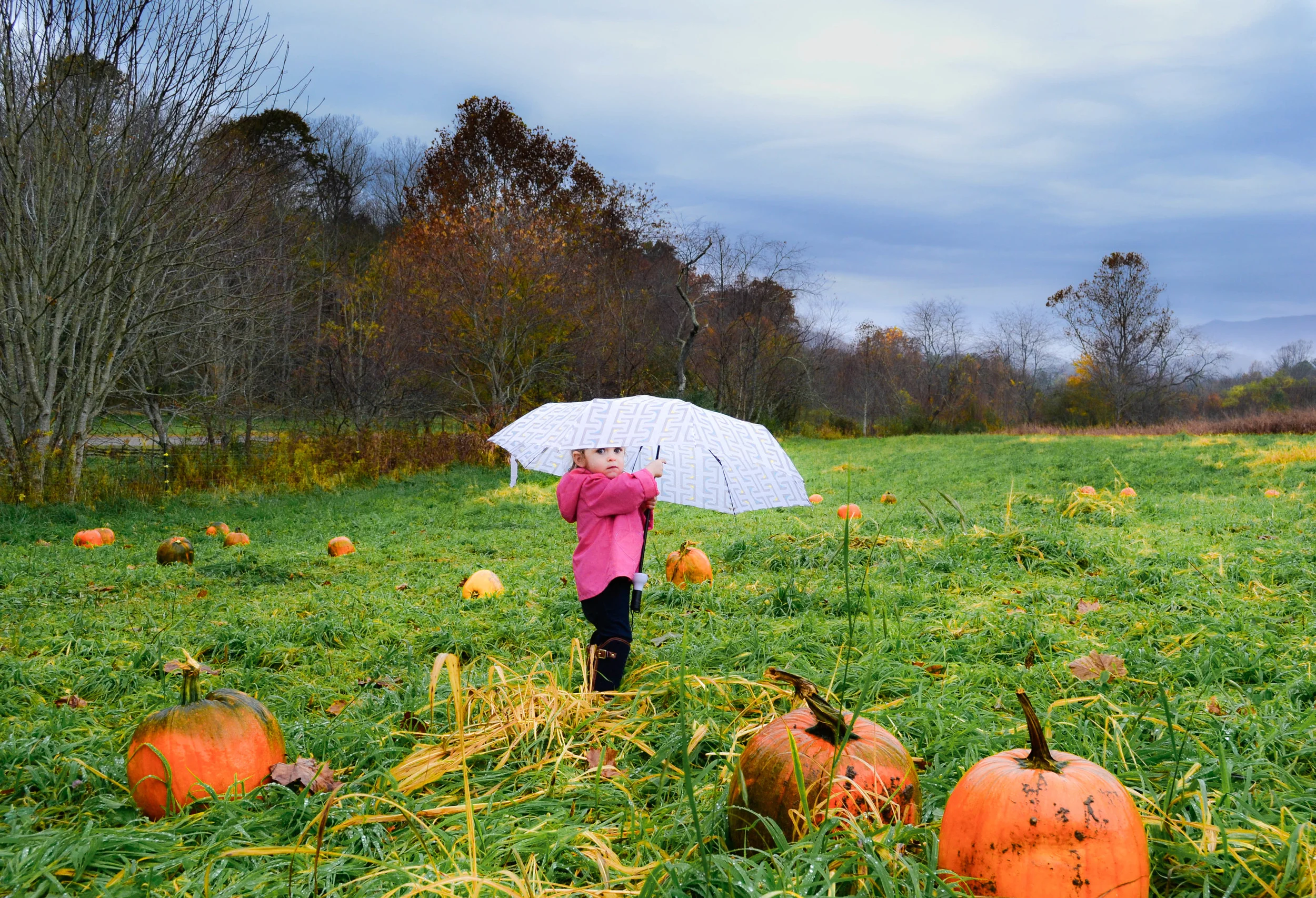 Pumpkin Rain