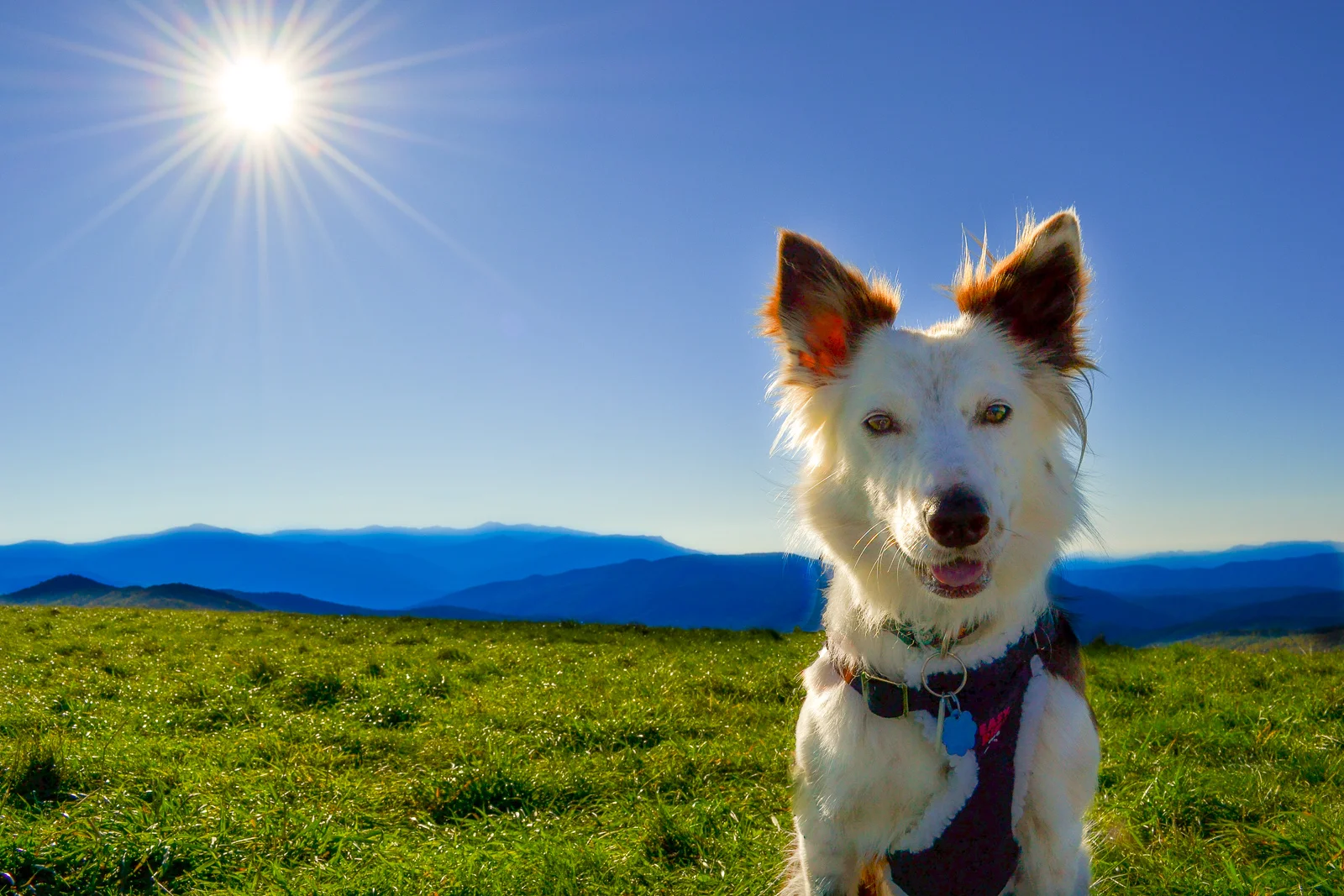 Mountain Girl