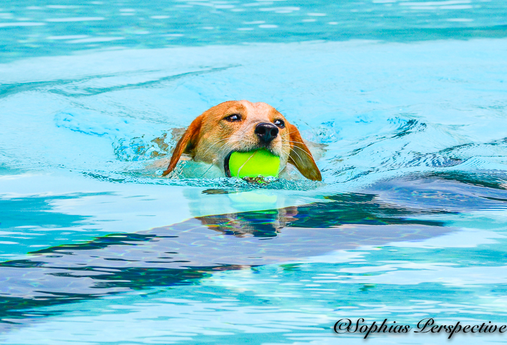 head with ball.jpg