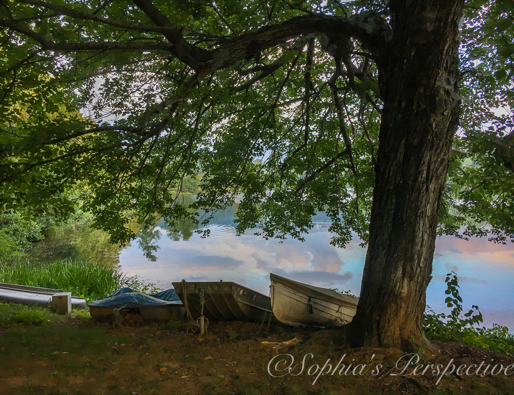 boat at beaver lake.jpg