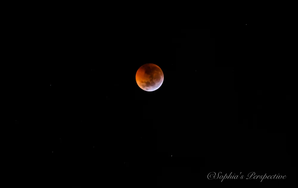 Lunar Eclipse 2019