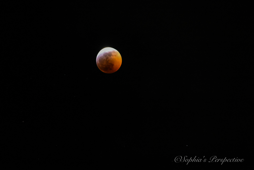 Lunar Eclipse 2019