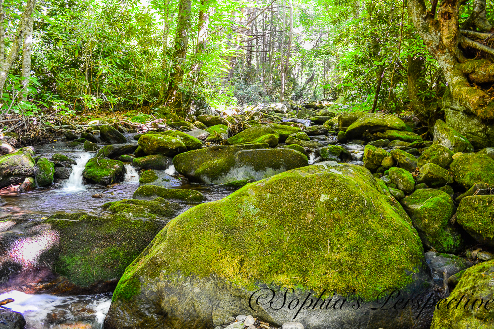 moss rocks river bed fb.jpg