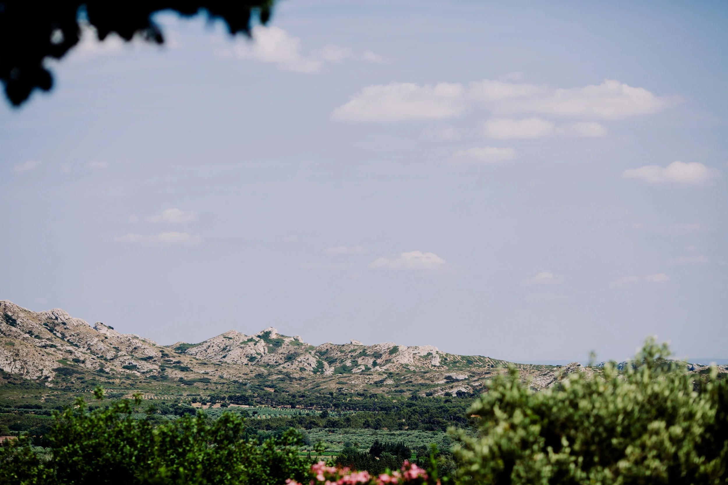ATPhotography-245.jpg