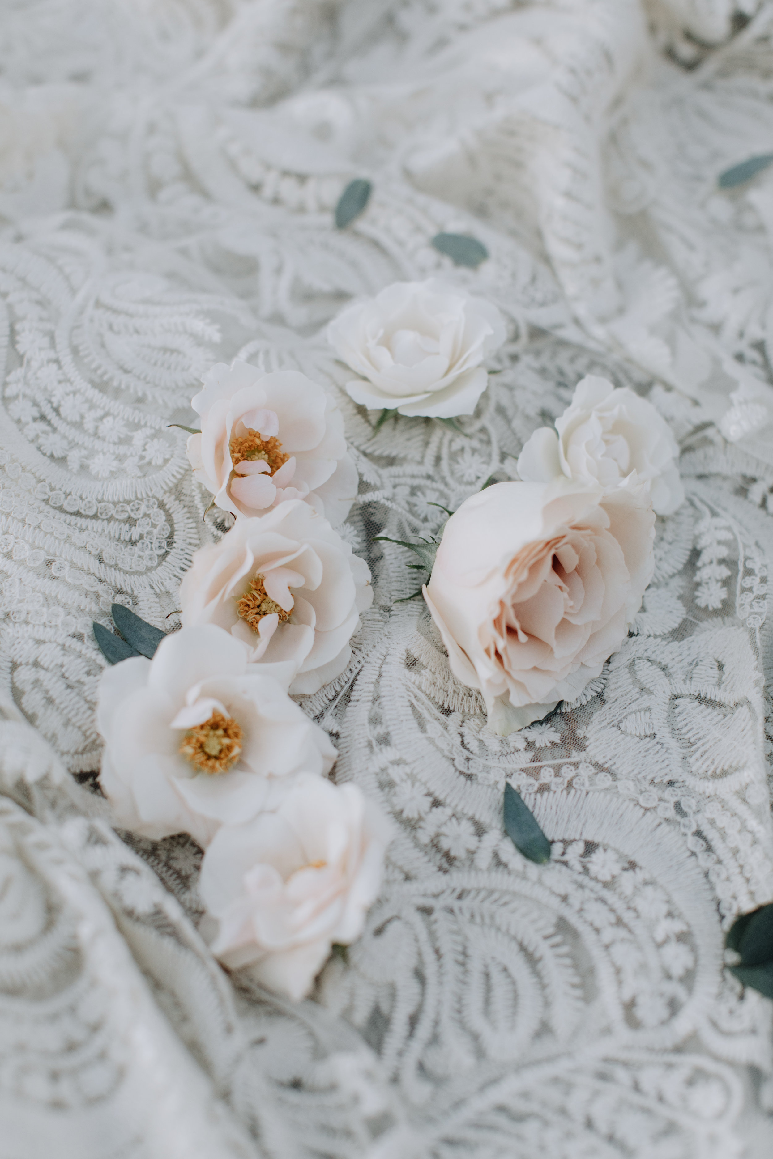 ATPhotography-1.jpg