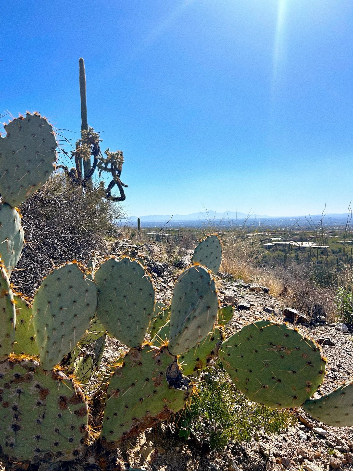 This🌵and then there&rsquo;s that&hellip;❄️
The Sisters owner and manager are in Arizona this weekend for the annual Tucson Gem Show, picking out new gemstone pieces for the store! We&rsquo;re so excited to see what they bring back and we&rsquo;re ve