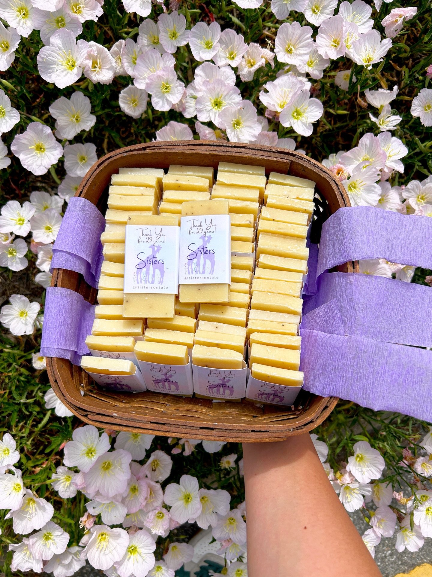 BIRTHDAY WEEK DAY 2 💜
&bull; Free artisan soap for everyone! Small business made + cinnamon latte scented!
&bull; Power Mini bracelets are Buy One Get One FREE!
&bull; Stainless Steel Spinner Rings are 29% off!
&bull;
Rewards Members!! Those $3 coup