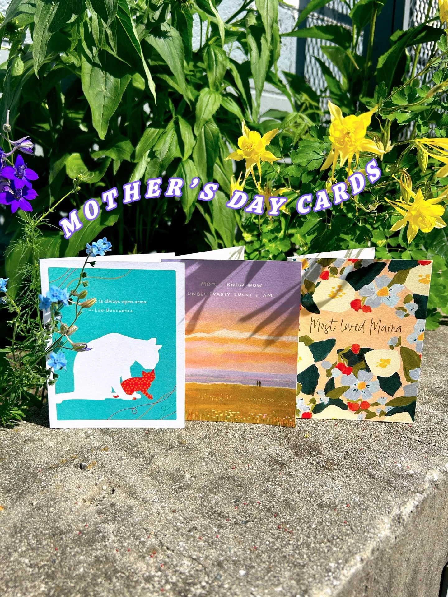 We&rsquo;ve got you covered! Mother&rsquo;s Day and graduation cards made with recycled paper, featuring artwork by real artists and sentiments that are funny, sweet, or both.
$4.98 each. Envelope included.