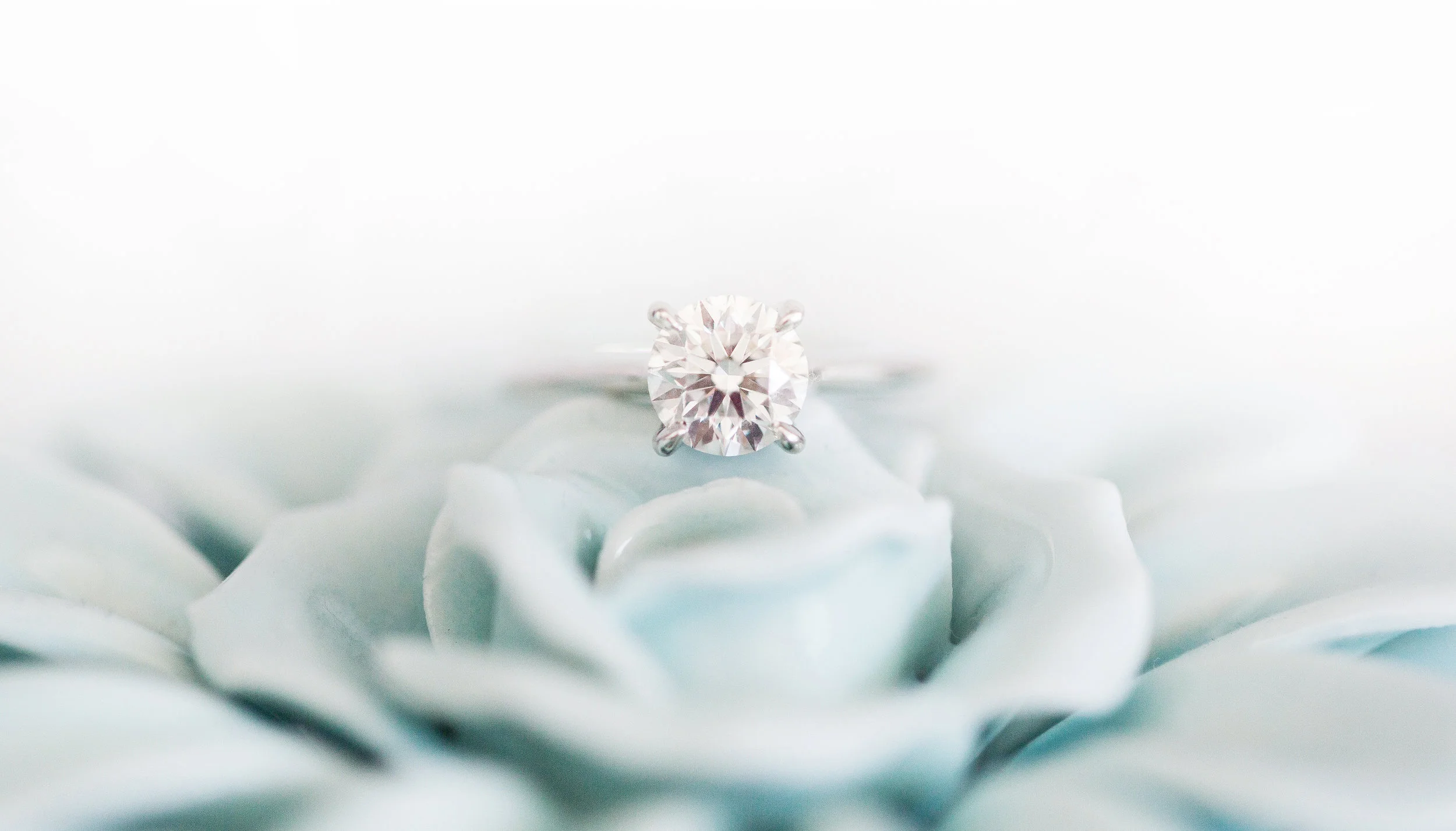 ALEXANDRADELBELLOPHOTOGRAPHY-CINDY&DAVID-EASTGWILLEMBURYENGAGEMENT-ATHOMEENGAGEMENT-HOMEENGAGEMENTSESSION5.jpg