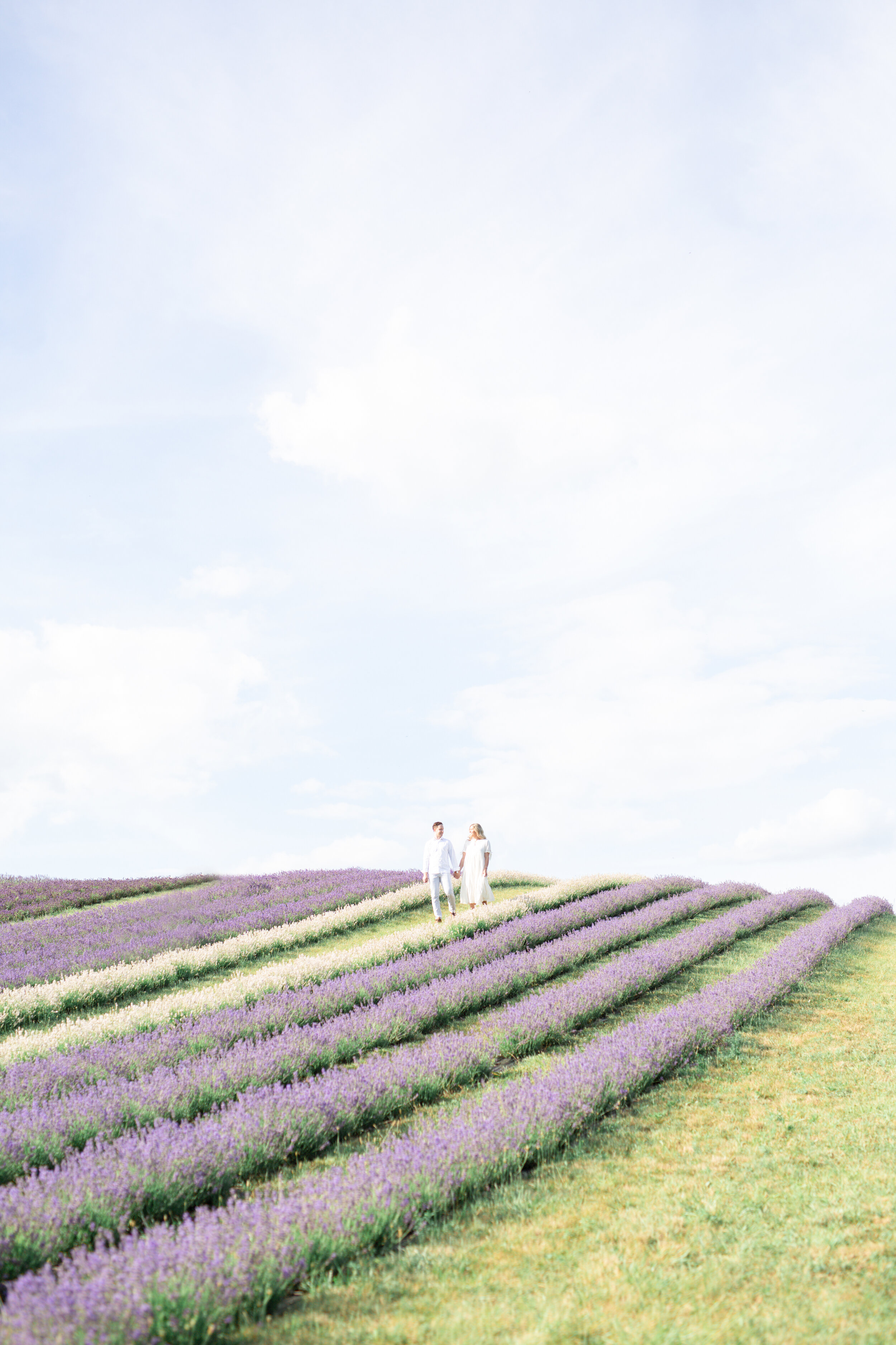 alexandradelbellophotography-lavenderfieldengagement-kelsolavenderfarm-kelsolavenderengagement-miltonengagement-miltonweddingphotographer--0027.jpg