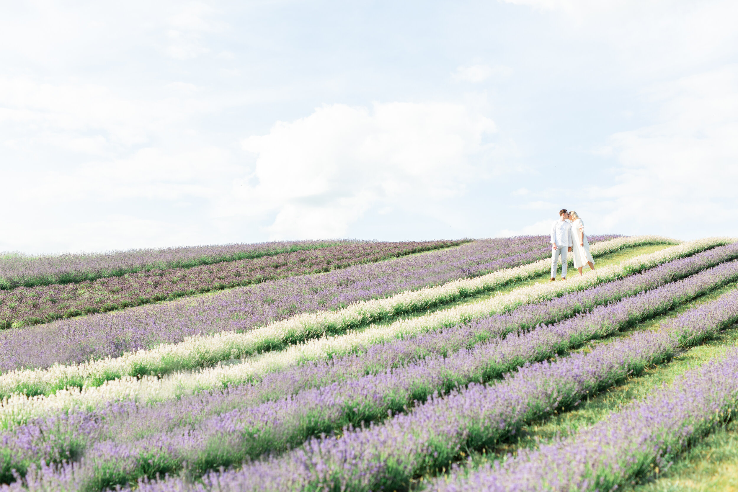 alexandradelbellophotography-lavenderfieldengagement-kelsolavenderfarm-kelsolavenderengagement-miltonengagement-miltonweddingphotographer--0028.jpg