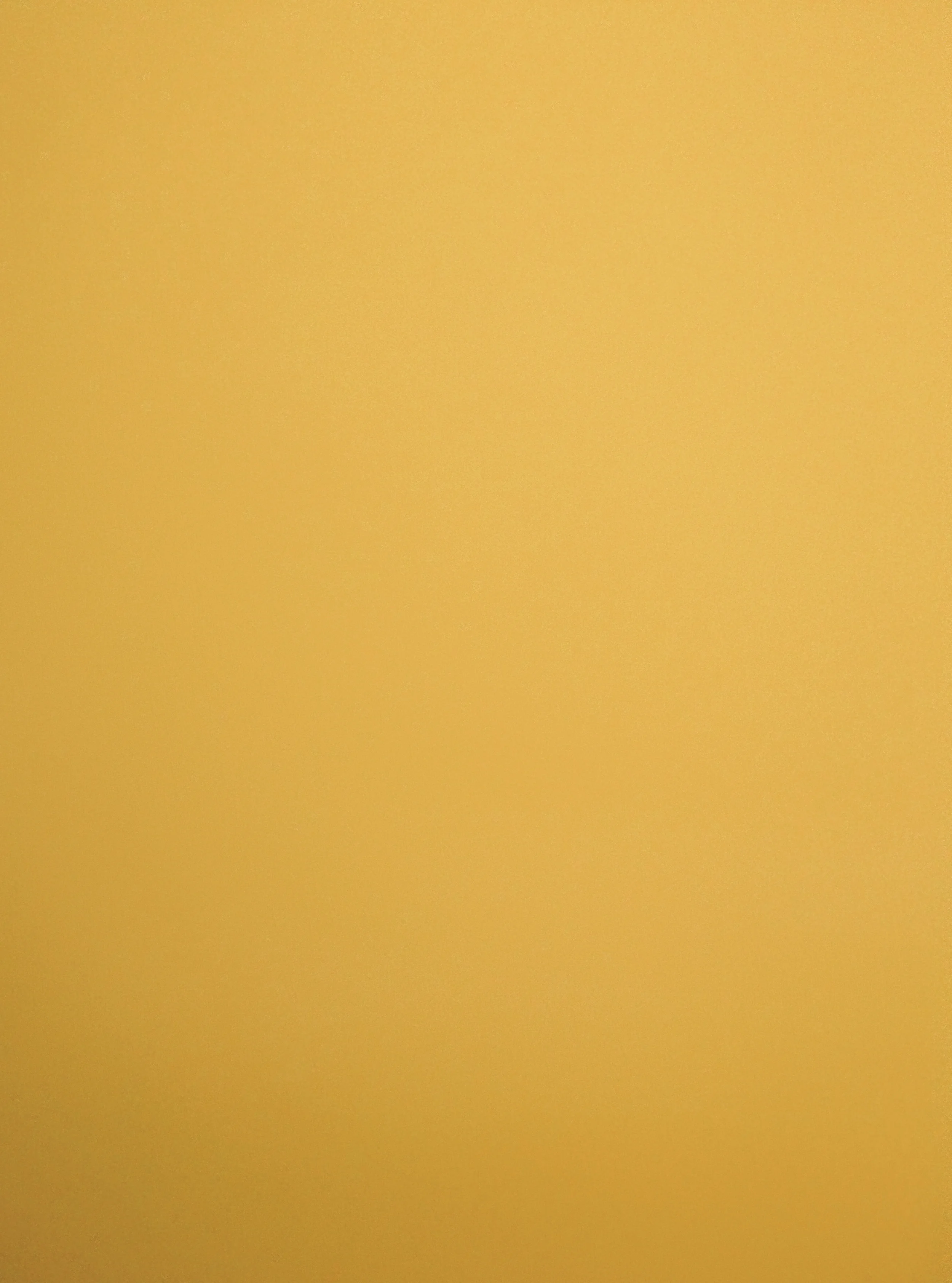 2015-03-13 12.49.54 1.jpg