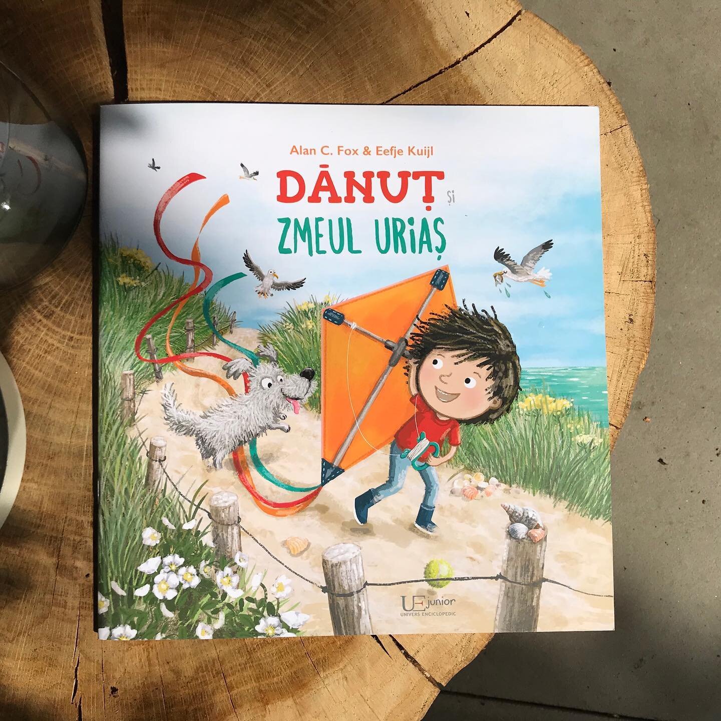 5th co-edition. Benji &amp; the giant kite, now available in Romanian too! 

#childrensbook #picturebook #kite #beach #summer #wind #illustratorsoninstagram  #illustrations @clavispublishing @therealalanfox