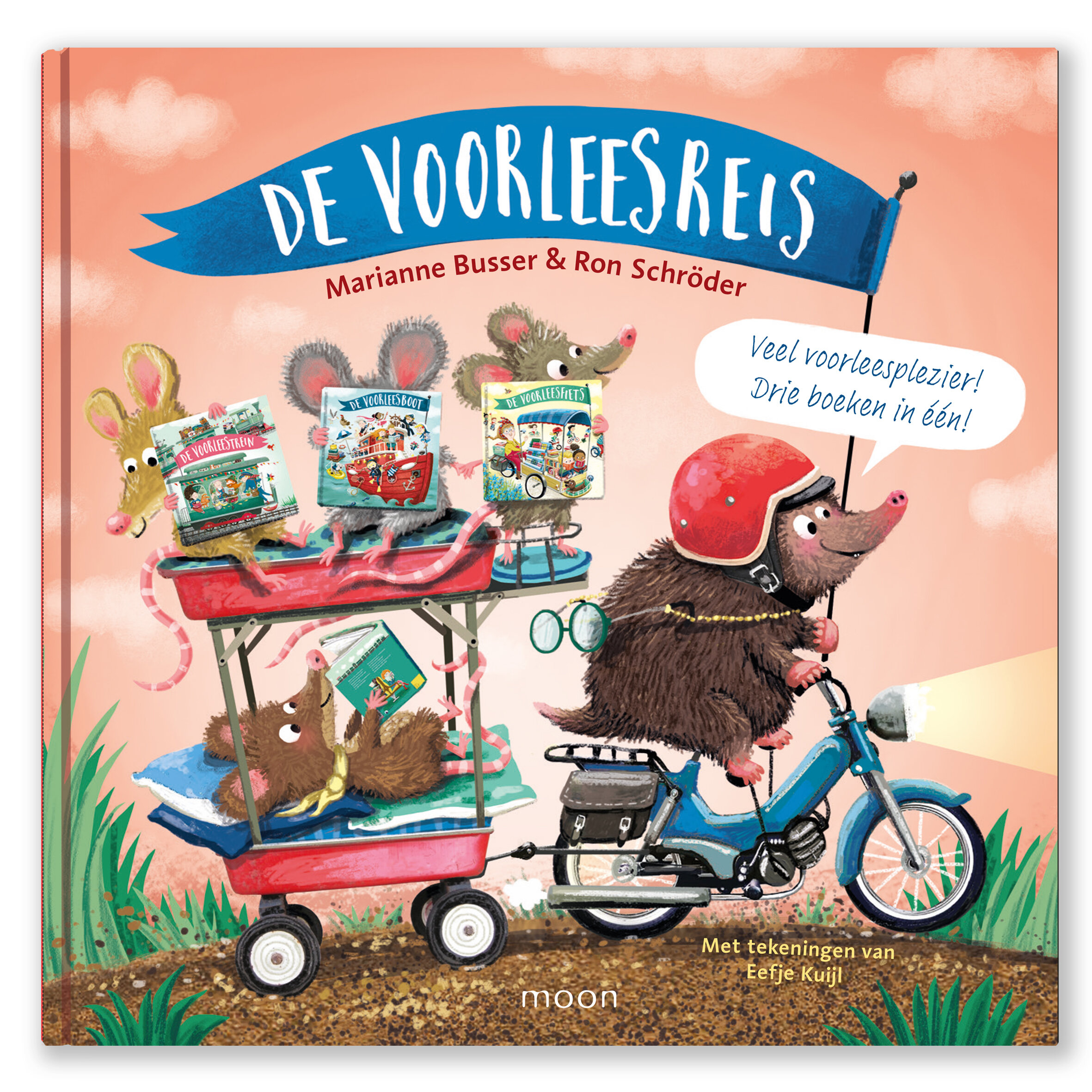 De Voorleesreis - Picture book