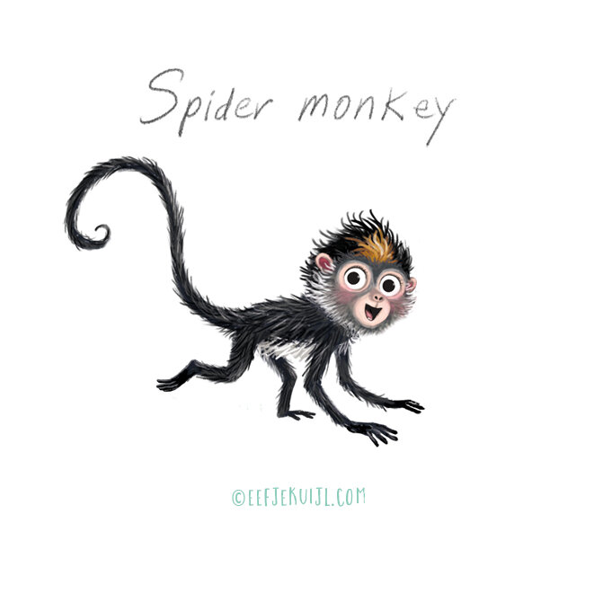 spidermonkey_Slowdown_monkey_Eefje_Kuijl.jpg