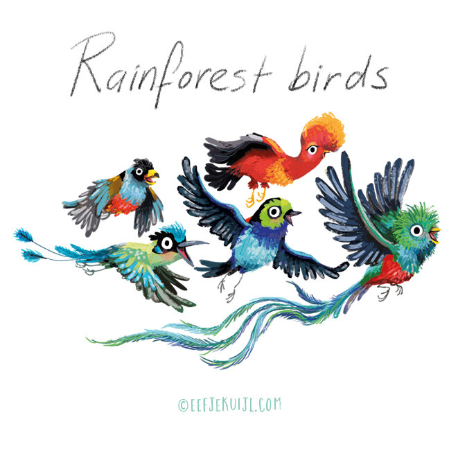 rainforest_birds_Slowdown_monkey_Eefje_Kuijl.jpg