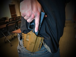 Sommer Holster (1) RESIZE.jpg