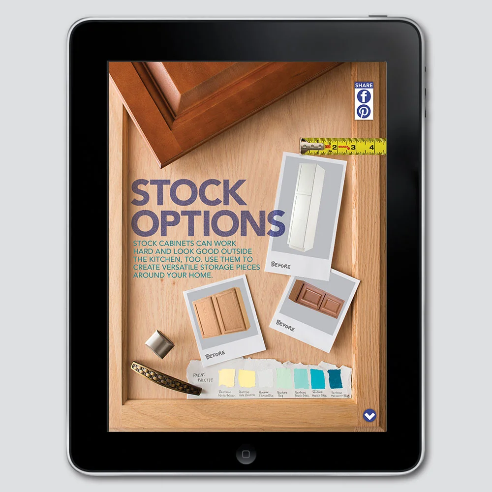 Brittainey-Designs-Digtial-Adobe-DPS-Art-Direction-Thumb.jpg