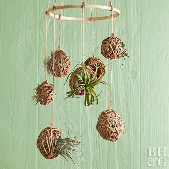  Air Plant Mobile 
