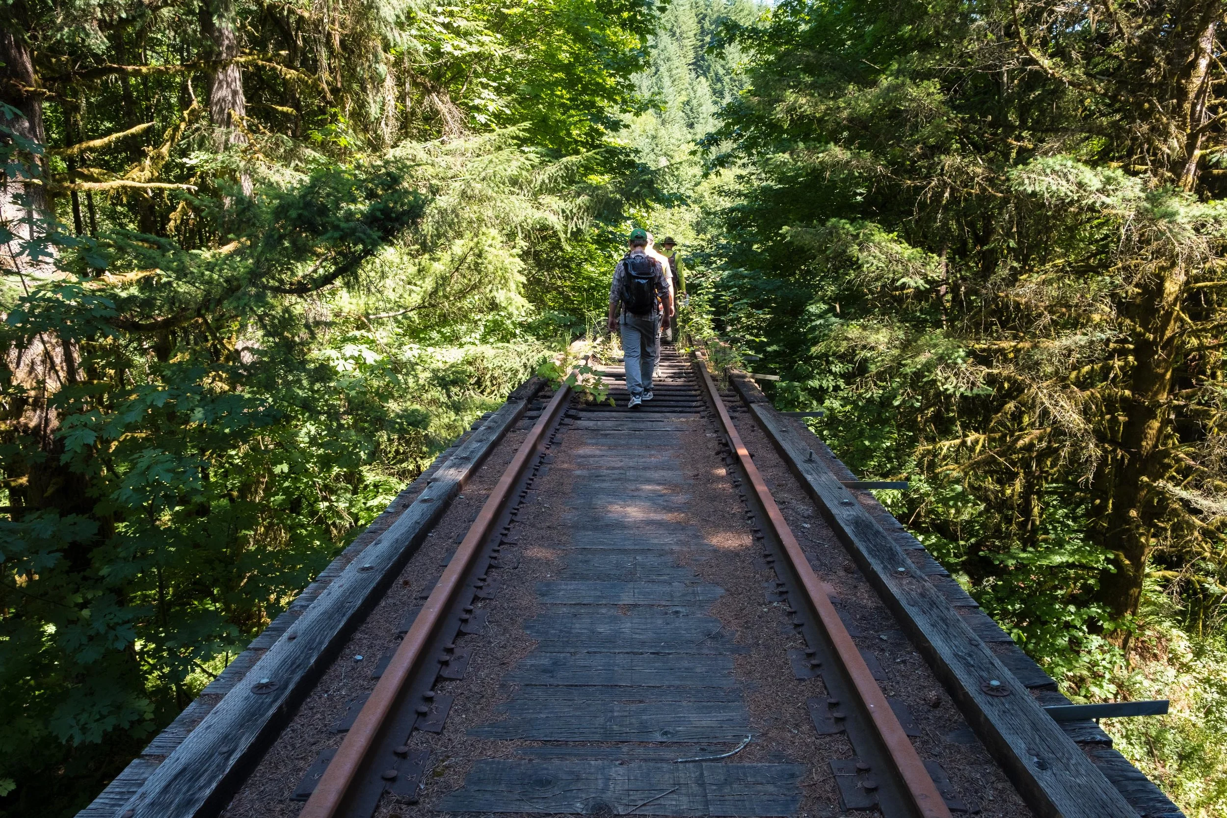 High Trestle in the Woods.jpg