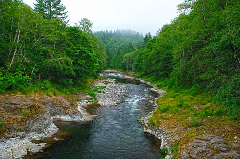 Photo Credit: Gary Halvorson, Oregon State Archives