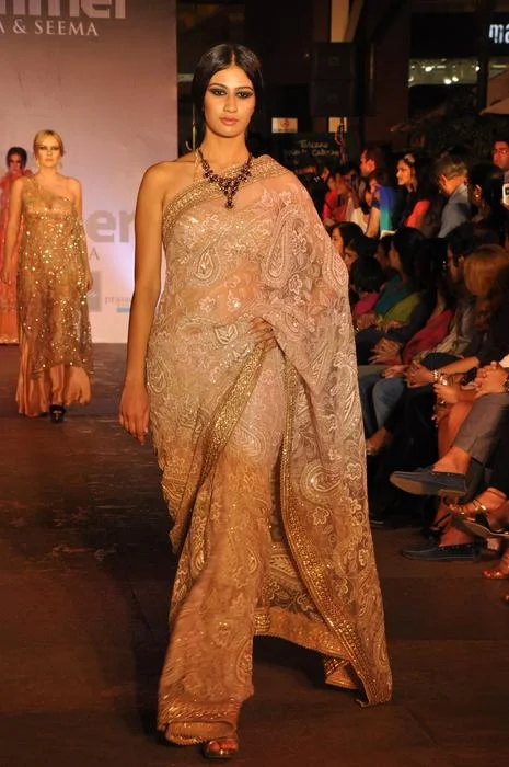 A classic sari with a twist.