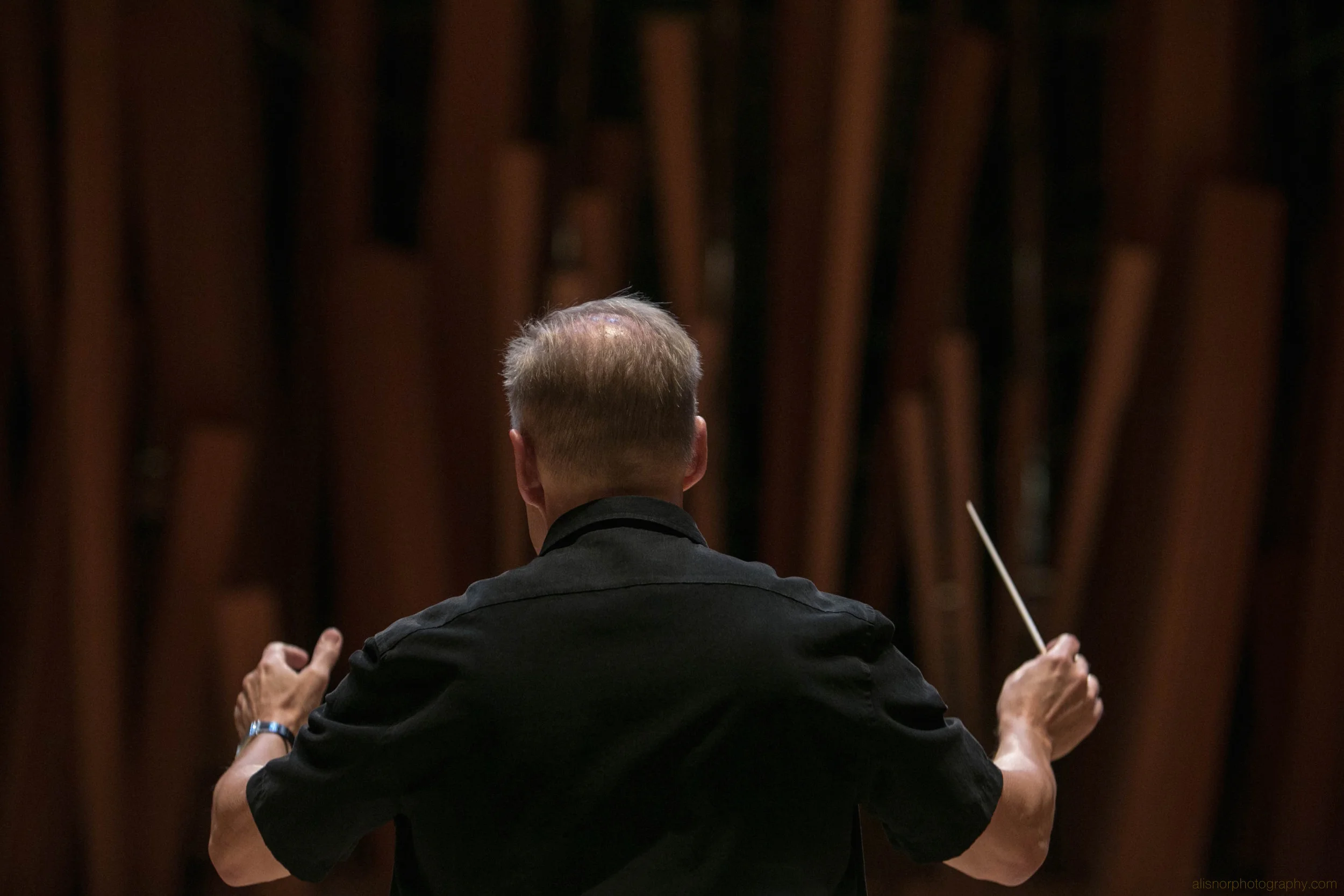 wm Orchestras2 June 2016-18 .jpg